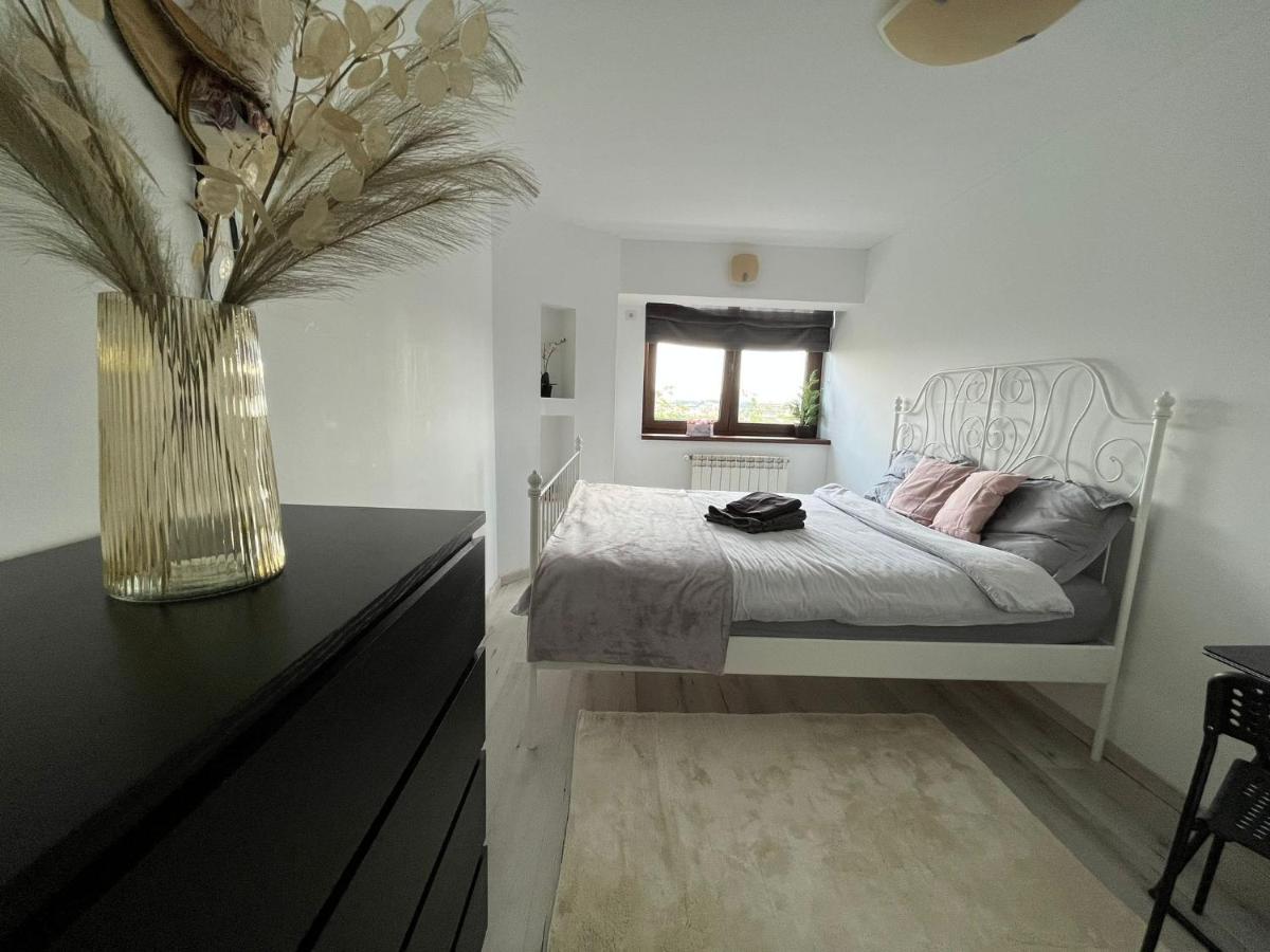 City Center Privat-Sauna Familyconcept Iasi Luaran gambar